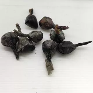 ขี้ไต้เม็ดสำหรับก่อไฟ จุดไฟง่าย ติดไว ไร้กลิ่น ประหยัดเวลา (inoculum for fire) ตรา PP (พีพี)