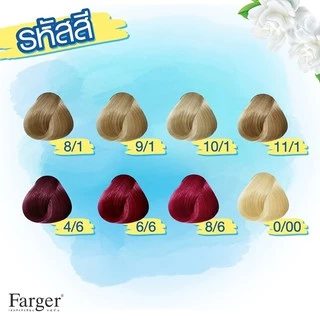(ตัดปีกฝา) สีย้อมผม ฟาร์เกอร์ โทนสีธรรมชาติ/สีน้ำตาล FG By Farger Natural/Brown Hair Color 100 ml.