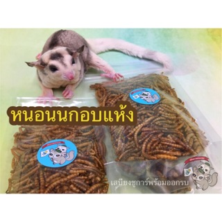 ( MEALWORM หนอนนก ) หนอนนกอบแห้ง แมลง แมลงอบแห้ง อาหารแห้ง กิ้งก่า เม่นแคระ ชูการ์ กระรอก ดอร์เมาส์ แฮมสเตอร์ เบี๊ยด นก