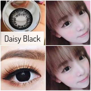 คอนแทคเลนส์ รุ่น Daizy ยี่ห้อ Pretty doll ตาโตแบ๊วๆ มีสี ดำ เทา ตาล ฟ้า เขียว ม่วง สายตาปกติ