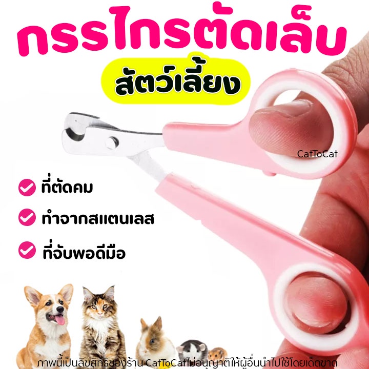 กรรไกรตัดเล็บ สัตว์เลี้ยงเล็ก ทำจาก สเตนเลส อุปกรณ์ตัดเล็บ ใบมีดคมออกแบบมาเป็นพิเศษสำหรับสัตว์เลี้ยง