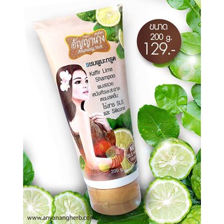 🌟 แชมพู สมุนไพร  มะกรูด อัญญานาง ANYANANG HERB KAFFIR LIME SHAMPOO