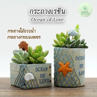 กระถางเรซิ่น Ocean Of Love กระถางดาว หอย แคตตัส ไม้อวบน้ำ กระถางเล็ก กระต้นต้นไม้เล็ก แต่ร้าน ของแต่งบ้าน ทะเล