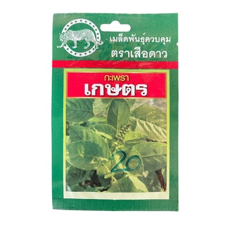 🍀กะเพราเกษตร (บรรจุ2000เมล็ด)( เมล็ดพันธุ์กะเพราเกษตร กะเพราใบใหญ่ ตราเสือดาว