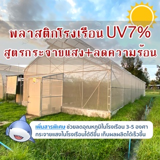 พลาสติกโรงเรือนลดความร้อน+กระจายแสง หน้ากว้าง 6.0 × 15 เมตร หนา 200 ไมครอน UV7%+ ตราฉลาม