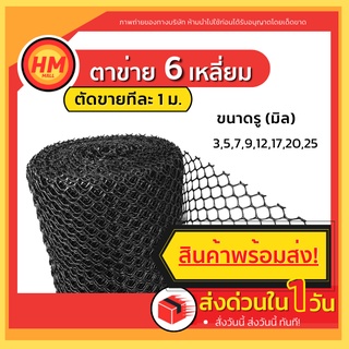 R6 ตาข่ายพลาสติก ตาข่าย กันนก ล้อมไก่ กรงไก่ รังผึ้ง 6เหลี่ยม PVC สี ดำ เขียว (ขายเป็นเมตร)