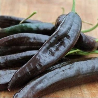 เมล็ดพันธุ์ พริกหวาน สีดำ (black sweet pepper) บรรจุ 20 เมล็ด