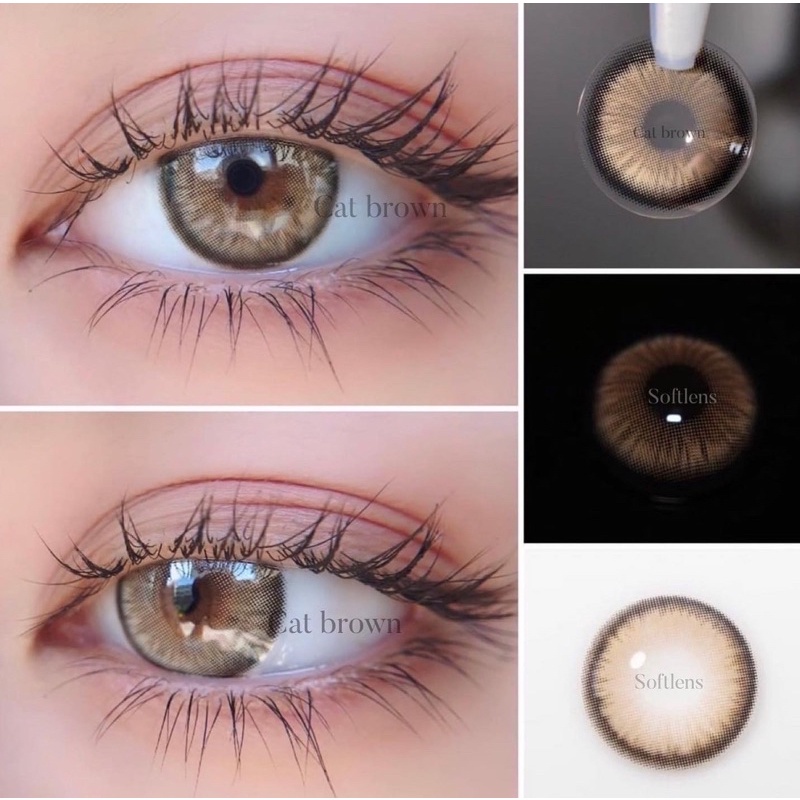 Miltia ส่งฟรีทุกขนส่ง📮 Cat eye คอนเเทคเลนส์รายปี-ขนาด14.5(Idollens)