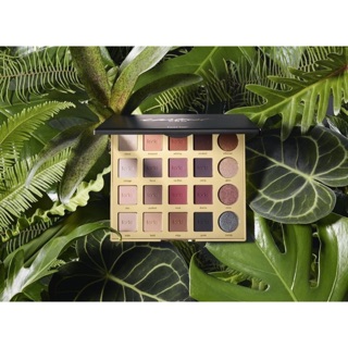 Tarte tarteist PRO Amazonian clay palette