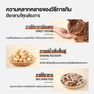 petsecret CATSTER PLAY ขนมแมว Freeze Dried และท็อปปิ้ง ชิ้นเนื้อแท้ๆ 100% ขนาด 40 กรัม