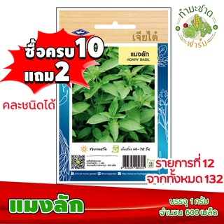 (ซื้อ10แถม2) เมล็ดพันธุ์ แมงลัก Hoary basil ประมาณ 600เมล็ด เจียไต๋ เมล็ดพันธุ์พืช เมล็ดพันธุ์ผัก เมล็ดผัก เม็ดผัก