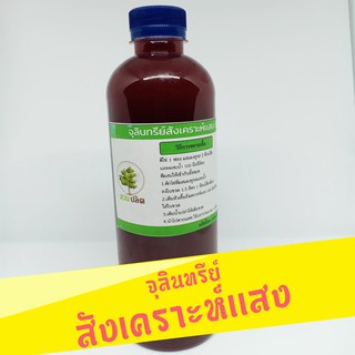 จุลินทรีย์สังเคราะห์เเสง ทำให้พืชเขียวงาม ขนาด 600 ml (พร้อมส่ง)