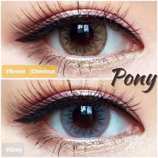 🌟 Wink : Pony bigeye ตาโต ปกติ ถึง -7.50