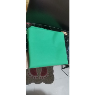 Green screen  ฉากเขียว
