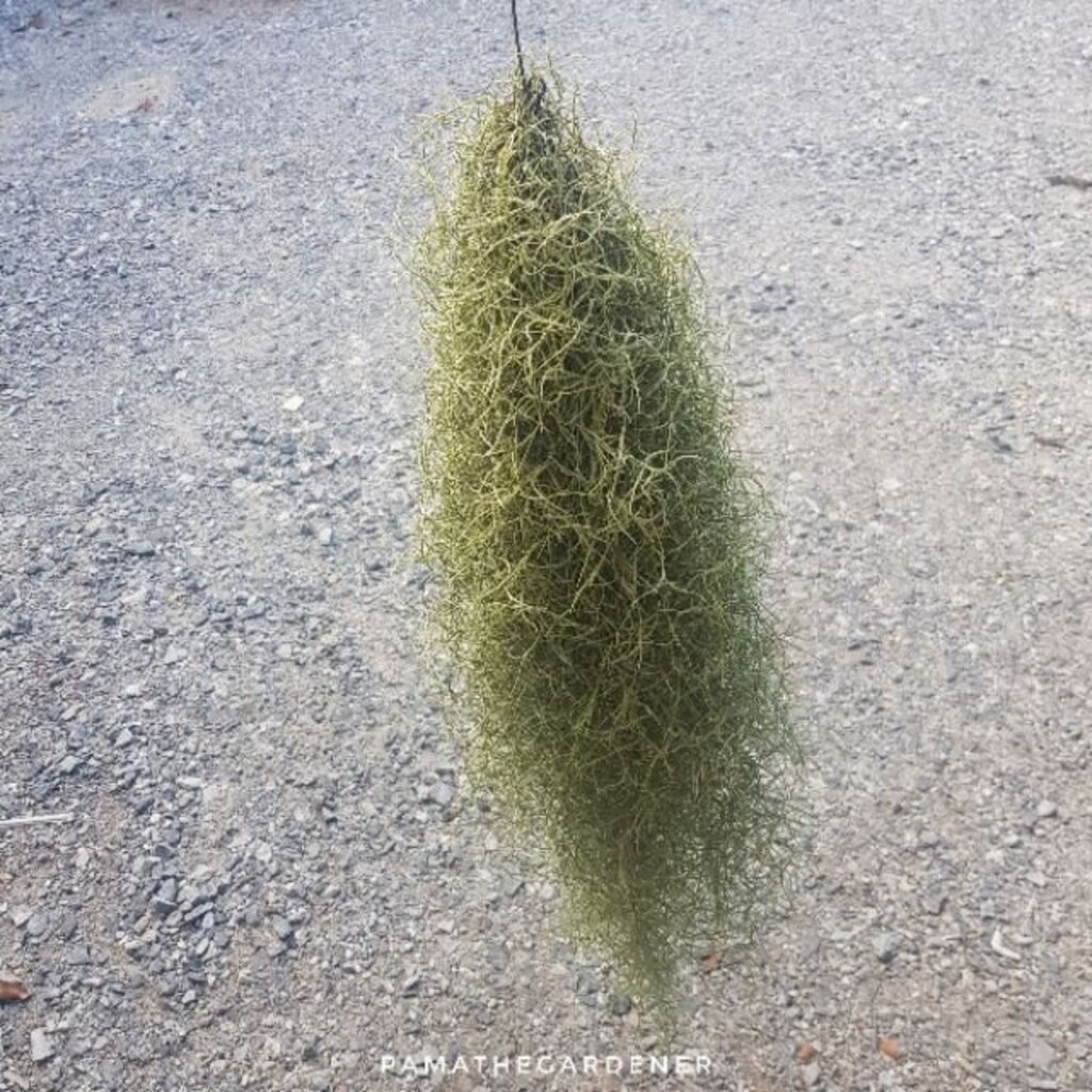 มุมมอง 2