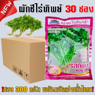 ผักชีรสทิพย์ ยกลัง 30 ซอง ห่อละ 300 กรัม ผักชี ตะวันต้นกล้า เมล็ดผักชี ผักชีรสทิพย์ รสทิพย์ พันธุ์ผักชี เมล็ดพันธุ์ผักชี