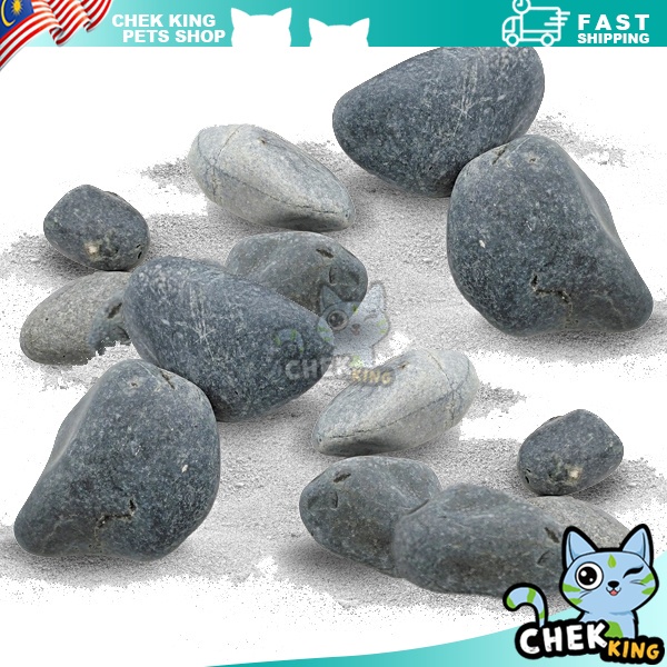 1 กก. สี PEBBLE STONE GARDEN LANDSCAPE HOME DECO AQUARIUM PEANUT STONE HOME DECORTATION