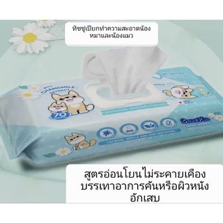 ทิชชู่เปียกทำความสะอาดสำหรับสุนัขและแมว surepad wipes 70แผ่น