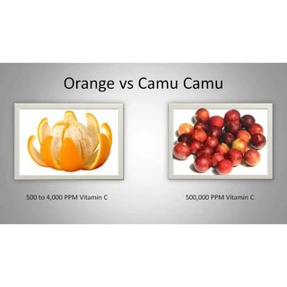 ผงคามูคามู ดูแลผิว วิตามินซี Camu Camu Powder ยี่ห้อ Feaga Life 100 กรัม