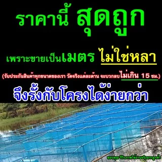 กระชังน้ำมุ้งไนล่อน 16 ตา/นิ้ว ขนาดเต็มเมตร เย็บแน่น แข็งแรง ใช้งานคุ้มค่า เหมาะสำหรับเลี้ยงปลา กบ และสัตว์น้ำทั่วไป