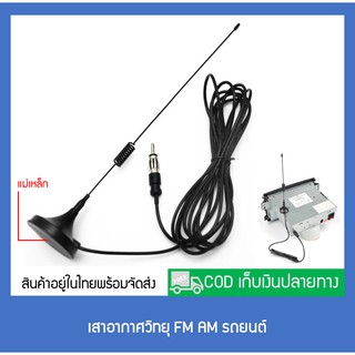 เสาอากาศFM AM รถยนต์ เสาอากาศรถยนต์ [สินค้าอยู่ในไทยพร้อมจัดส่ง] EG-015-0005