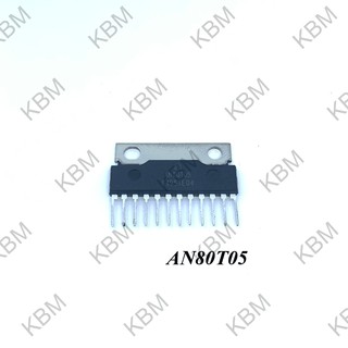 Integrated Circuit (IC) AN80T05 AN80T54 AN80T71