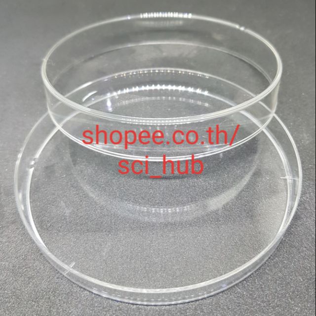 จานเพาะเชื้อ พลาสติก Disposable Plastic Petri Dishes 60 70 90 120mm