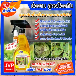 *ส่งฟรี**ยากำจัดเชื้อราและแบคทีเรีย ช่องาม ขนาด 500ซีซี. มีให้เลือกแพ็ค 1-5 ขวด(Pesticides)ป้องกันเชื้อรา ยาปราบศัตรูพืช