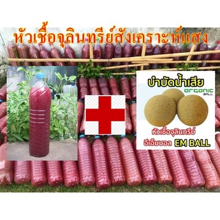 หัวเชื้อจุลินทรีย์สังเคราะห์แสง PSB บำบัดน้ำเสีย1500ML แถมอีเอ็มบอล 10ลูก