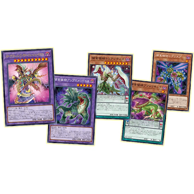 Yugioh Dimension Force DIFO การ์ดยูกิ ลิขสิทธิ์แท้ ภาษาญี่ปุ่น ...