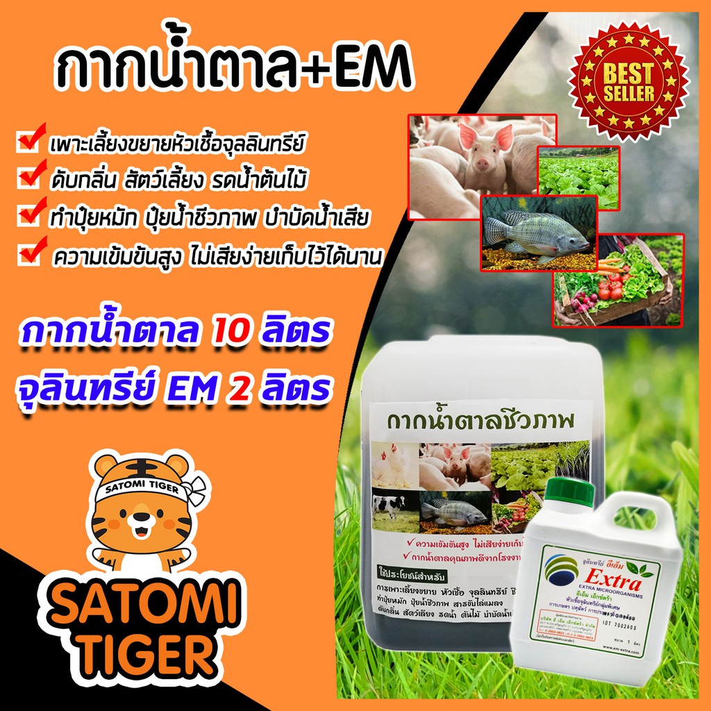 กากน้ำตาล 10 ลิตร 14 กิโลกรัม + จุลินทรีย์ EM 1 ลิตร จำนวน 2 ชิ้น ทำน้ำหมัก หมักปุ๋ย ผสมอาหารสัตว์ บ