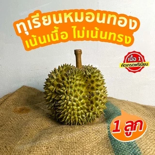 ทุเรียนจันทบุรีเนื้อพรีเมียม ยอดขายเยอะที่สุดทุเรียนหมอนทอง คัดเนื้อเทพไม่เน้นทรง เนื้อเหลือง เนื้อตลาดที่คนไทยกิน