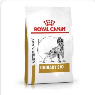 Royal canin urinary s/o dog 2kg อาหารสุนัข กระเพาะปัสสาวะ 2กก.Exp08/2024