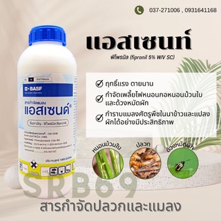 แอสเซนด์ กำจัดปลวก แมลง ทุกชนิด