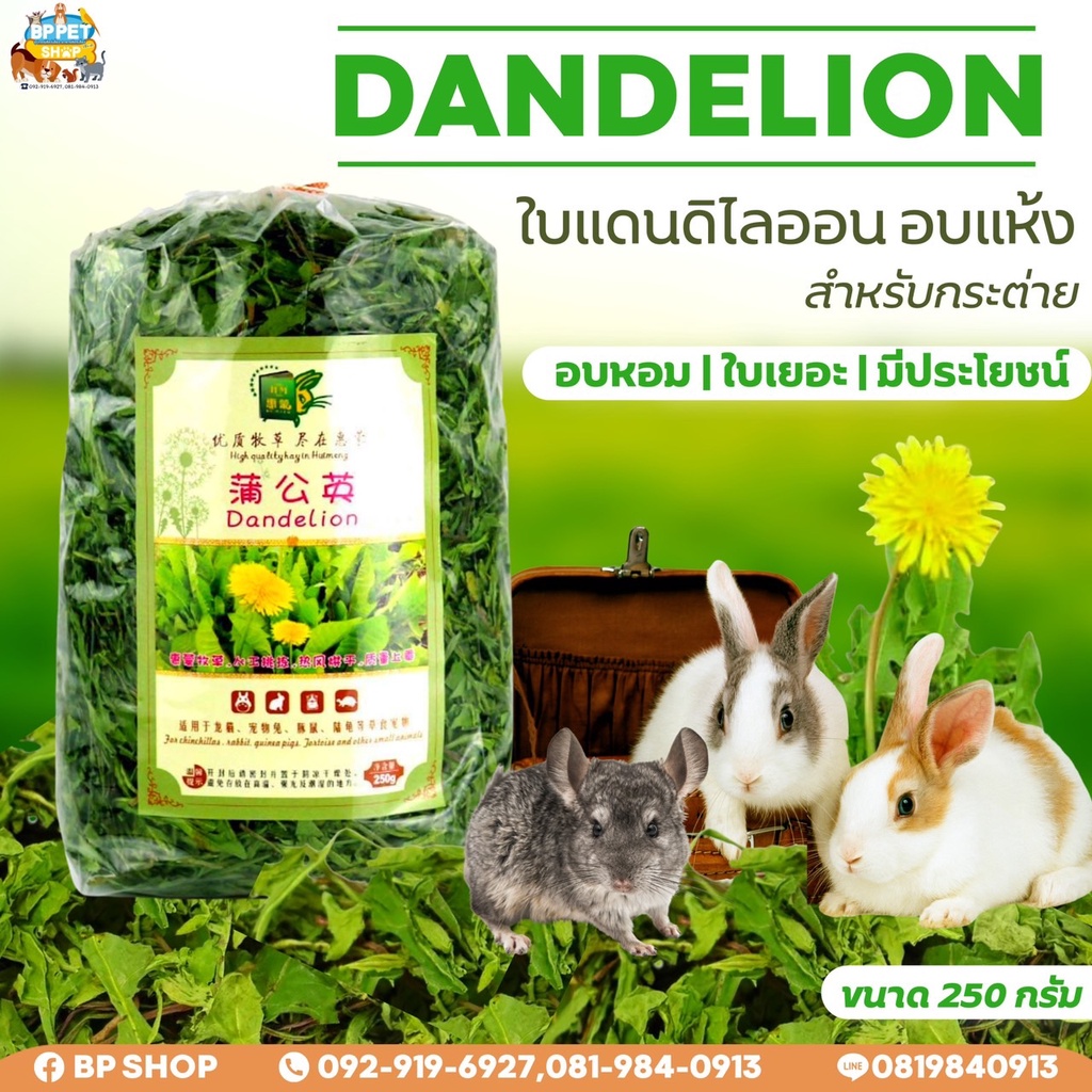 My Image 25