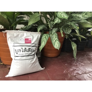 มูลไส้เดือนสดใหม่แอฟริ100%จากมูลม้า.เนื้อละเอียด.5000กรัม-100% Fresh AF vermicompost from horse manure.Fine-grain.5000g