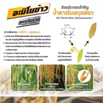 อะมิโนข้าวสูตรรับรวง ขนาด 1 ลิตร  ข้าวรวงใหญ่ เมล็ดเต็มรวง อวบ ได้น้ำหนัก ลดการหลุดร่วง - รูปที่ 3