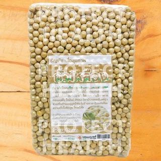 ถั่วเหลือง 500g ถั่วออแกนิค ถั่วเพื่อสุขภาพ ออแกนิก Organic Soya Bean ,Soy Bean ออแกนิค เสริมโปรตีน โปรตีนสูง ทำเต้าหู้