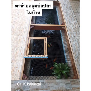 ตาข่ายคลุมบ่อปลาคราฟ Koi Pond Net ขนาด 1.2x4 เมตร และ 2x3 เมตร