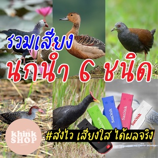 รวมเสียงนกน้ำ 6 ชนิด มีเก็บเงินปลายทาง