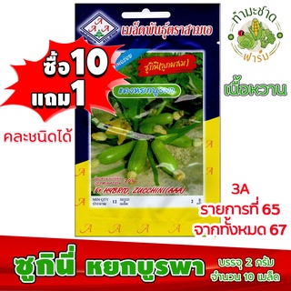 (ซื้อ10แถม1) เมล็ดพันธุ์ ซูกินี หยกบูรพา zucchini ประมาณ 12เมล็ด 3A สามเอ ซูกินี่ ผักสวนครัว เมล็ดพันธุ์พืช เมล็ดผัก