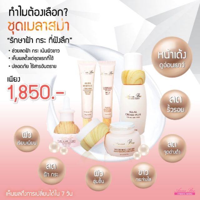 Anna Bee ครีมแอนนาบีรักษาฝ้า, Anna bee Melasma