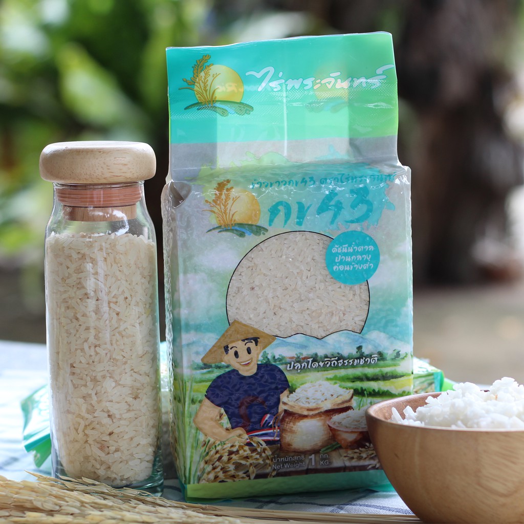 *ค่าส่งถูกที่สุด* ข้าวขาวกข43 คัดพิเศษ ปลอดสาร ไม่ใช้สารกันมอด แบรนด์ไร่พระจันทร์ ข้าว ข้าวสาร กข43 ข้าวกข43 RD43 rice - รูปที่ 5