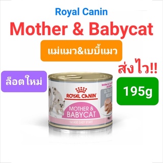 Royal Canin Mother &amp; babycat กระป๋อง ขนาด 195 กรัม สำหรับลูกแมวช่วงหย่านม - 4 เดือน