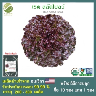 เมล็ดสลัด เรดสลัดโบลว์ จำนวน 200-300 เมล็ด