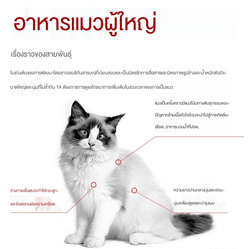 ☊♈♘[ของแท้] Royal Ragdoll Cat Food Ragdoll Special Cat Food Brand No. 1 Ragdoll Cat Special Cat Food