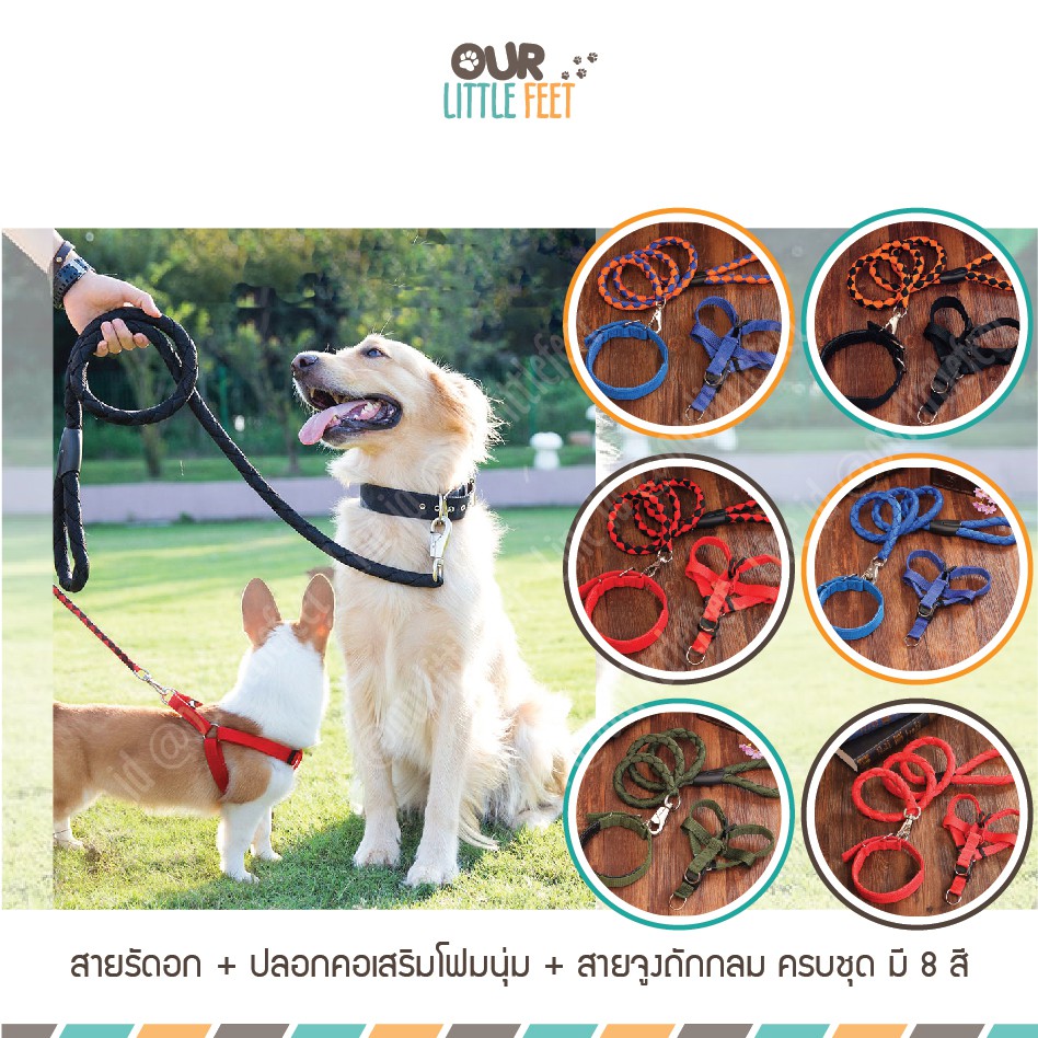สายรัดอก + ปลอกคอเสริมโฟมนุ่ม + สายจูงถักกลมครบชุด