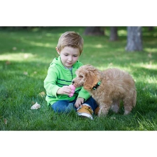 Kong Classic Puppy ของเล่นสัตว์เลี้ยง