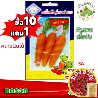 เมล็ดอวบอ้วน100%，ไทยในสต็อกพร้อมส่ง[10แถม1] 3A เมล็ดพันธุ์ แครอท 2,800  เมล็ด หัวสวย เนื้อส้ม เมล็ดพันธุ์สามเอ CARROT  เ