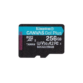 KIingston-256GB microSDXC Canvas Go Plus 170R